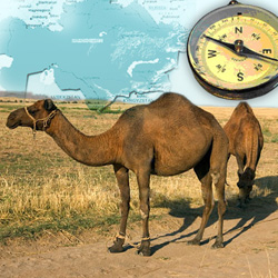21_08_kazahstan