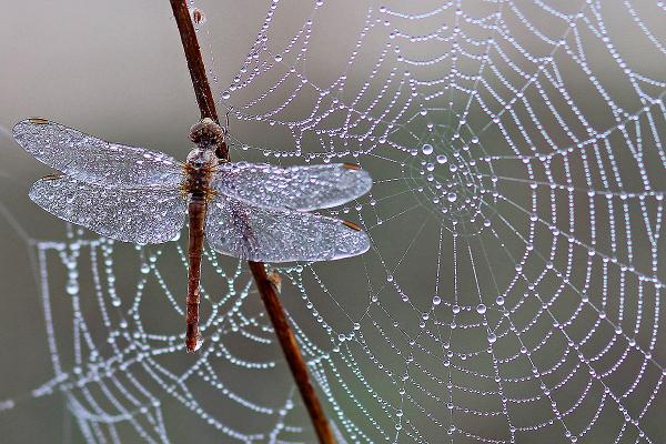 Image by Adina Voicu from Pixabay Image by Adina Voicu from Pixabay