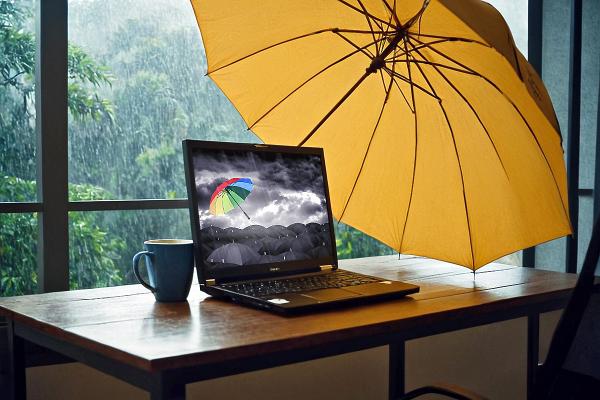 Photo by Jack Moreh from Freerange Stock Photo by Jack Moreh from Freerange Stock